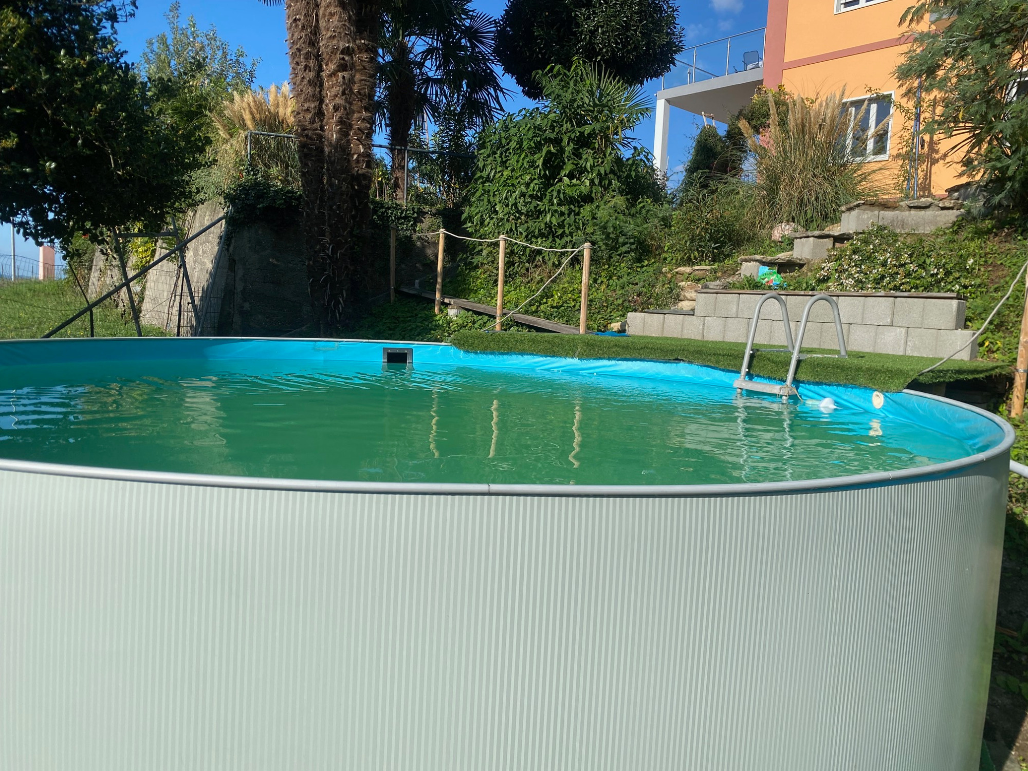 Pool_1